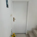 Ana * 巴什卡沃达